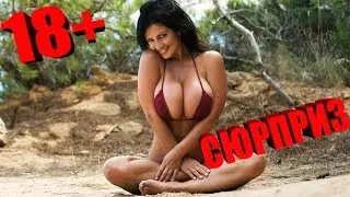 внутри сюрприз #18