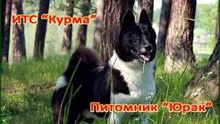 Питомник 