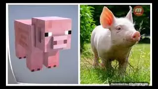 MINECRAFT/REAL HAYOTDA/ KORING VA ZAVQLANING