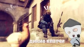 CS:GO| ДИКО |#9