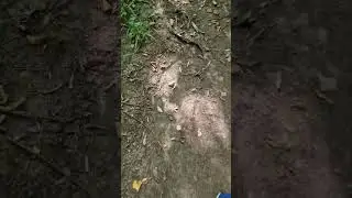 #дядясаша