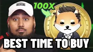 Dogelon Mars Will 100X From HERE! Best Time To BUY DOGELON!!
