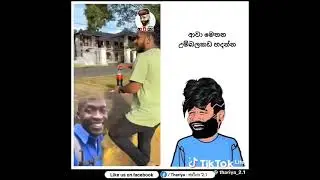 ආවා මෙතන උම්බලකඩ හදන්න 😂💔 #shorts #viralshorts #srilanka #funny #sinhalamemes