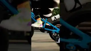 Royalbaby BMX Freestyle Kids Bike