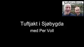 Tuftjakt i Sjøbygda