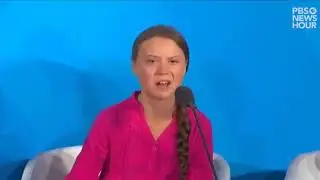 Речь Греты Тунберг в ООН в переводе Андрея Гаврилова