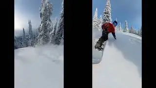 Insta 360 OneX2  - Follow Cam and Selfie Cam Example