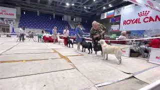 IDS CACIB Magnitogorsk