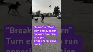 Break (or Turn)