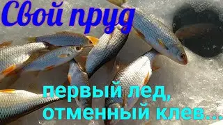 Свой пруд. Первый лед и первая рыбалка! Строим пруд в деревне часть 28.
