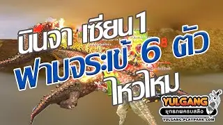 โยกัง นินจาเซียน1 ฟามจระเข้6ตัว ที่หุบเขาร้อยลี้