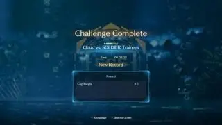 Fun with punisher guards in FF7R