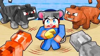 One MOUSE in a CAT ONLY HOUSE!