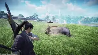 WHERE WINDS MEET New Gameplay