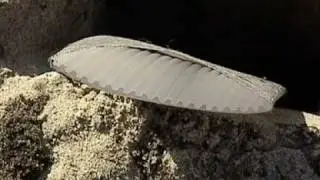 beaudrain web 2