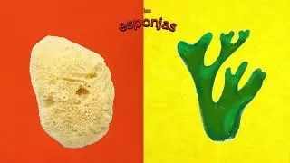 echinoderms and sponges.