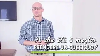 TUTORIAL BAU BOYS - A che età è meglio prendere un cucciolo?