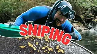 Vitamin Au, Cure For Gold Fever Cure! Sniping In Pacific Northwest, Central Cascades!
