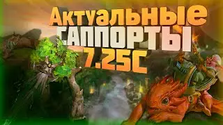 Актуальные саппорты. Патч 7.25С.