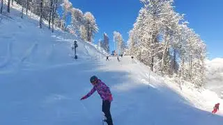 Роза хутор