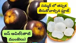 Health benefits of ice apple (Thati munjalu, Tadgola)