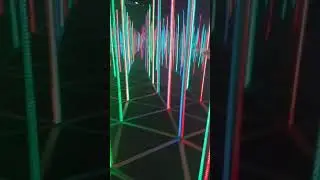 Даша в зазеркалье