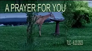 A PRAYER FOR YOU | TLC | 6 23 2023