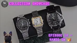 Collection Showcase - Episode 14 Bro' s Collection Hands-On 👑🔥