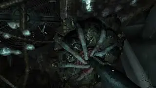 Soma #3