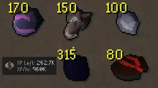 Testing The FASTEST Most EXPENSIVE Training Methods In RuneScape