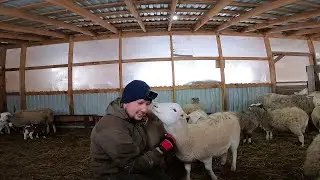 Я НАШЕЛ ИХ УЖЕ  МЕРТВЫМИ  !  КУПИЛ ХУТОР В ЛЕСУ № 198