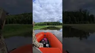 на рыбалку за окунем 🐬🐬🐬🙂👍