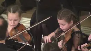 Dance of the Little Swans - Ballet 