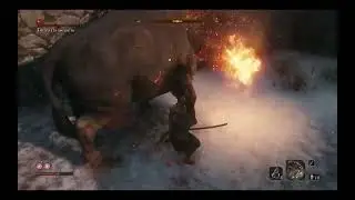 Sekiro Boi bumba nervoso.