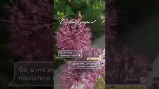 С добрым утром! Ой что это пролетело такое?!