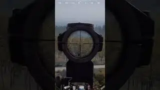 Deadside: #Shorts | A Little Target Practice | Mosin