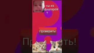 Тест кто ты из блогеров часть 1