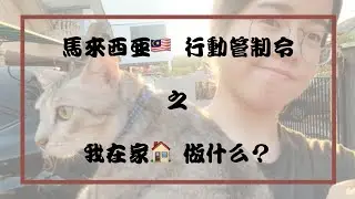 [T. Sher VLOG] #StayAtHome What is my routine in MCO period?马来西亚行动管制令之我在家做什么？