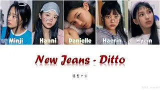 【認聲/韓繁中字】NewJeans (뉴진스) - 'Ditto' (Color Coded Lyrics Han/Chinese)