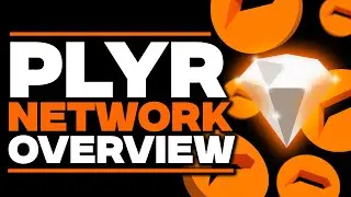 Plyr Network Overview