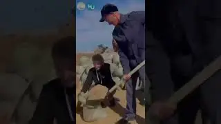 @bqu resmi