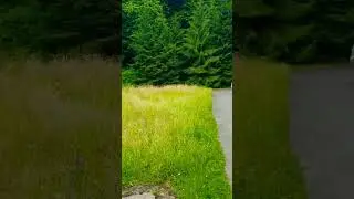 Кассель , путешествие