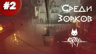Прохождение Stray #2 Друг Момо