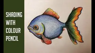 How to Draw a Fish | Pencil Shading Techniques.
