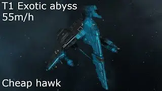 Eve online - hawk @ t1 exotic abyss