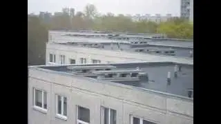 Стрижи