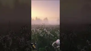 Над вами будут смеяться! ДОНАТ 4441 1111 5398 6348 (поддержка канала)
