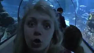 02 Океанариум Барселоны