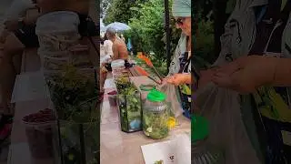 Суздаль родина огурцов🙄или Луховицы ?