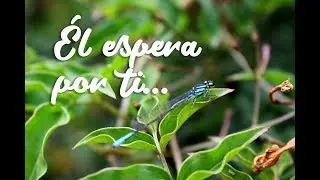 ÉL espera por ti: Palabras con síntomas